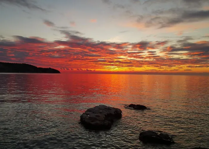 アパート D&d イゾラ